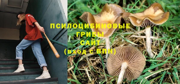 эйфоретик Алексеевка