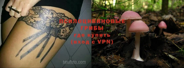 эйфоретик Алексеевка