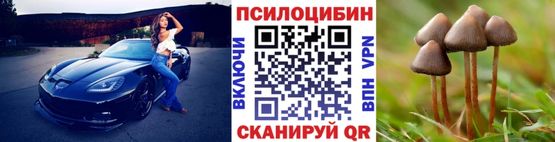 Галлюциногенные грибы мухоморы Купить где Мариинск